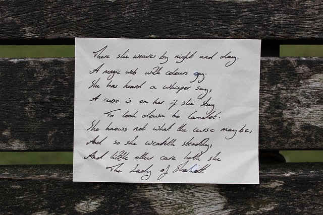 document