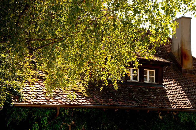 lodging