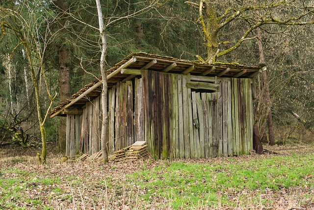 lodging