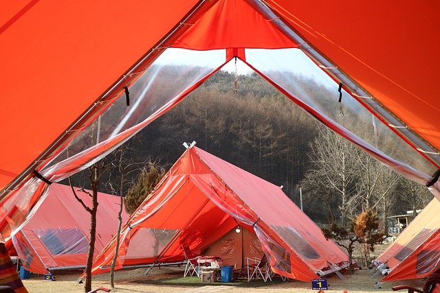 lodging