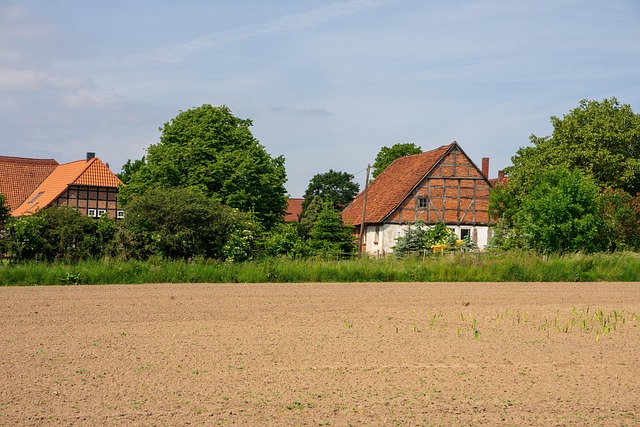 property management