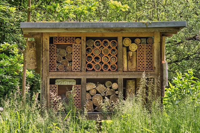 accommodation