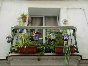 accommodation