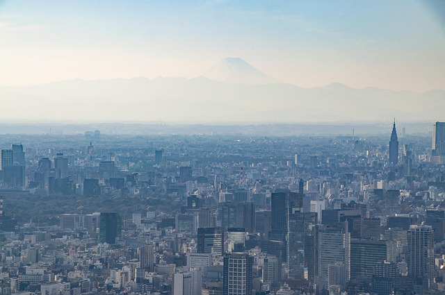 Mt Fuji